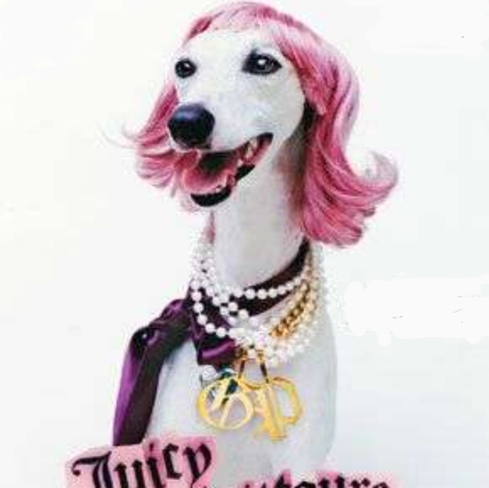 Juicy Couture Pet Items